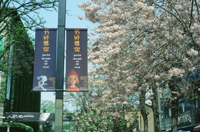 Banners 