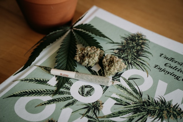 Weed 